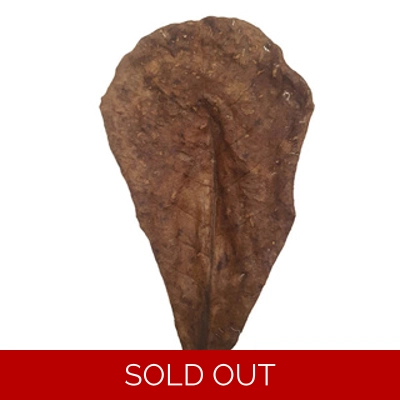 BETTA CHOICE CATAPPA LEAVES M X 15